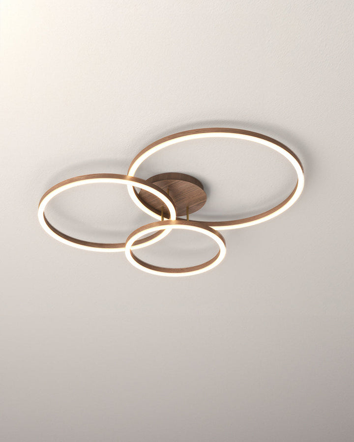 Elegant Ring-Style Ceiling Light 1