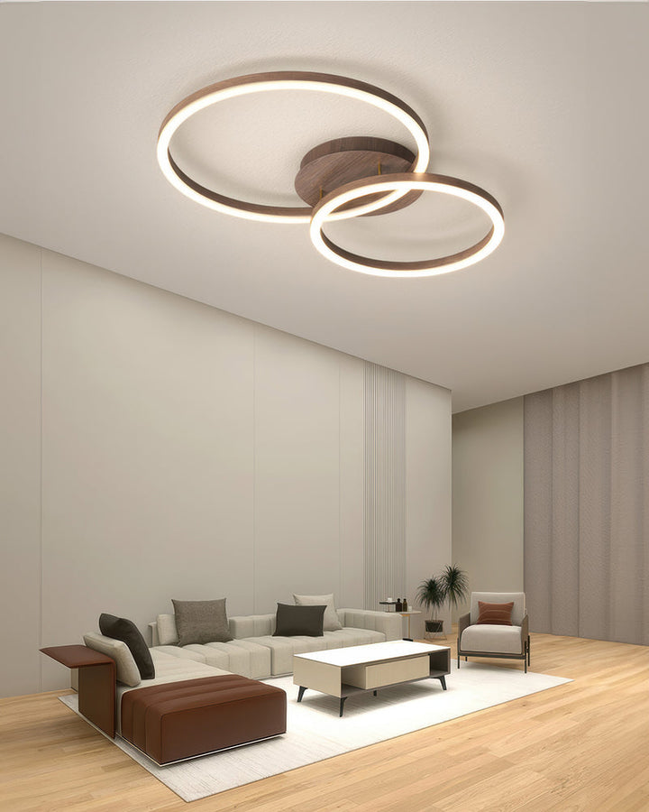 Elegant Ring-Style Ceiling Light 4