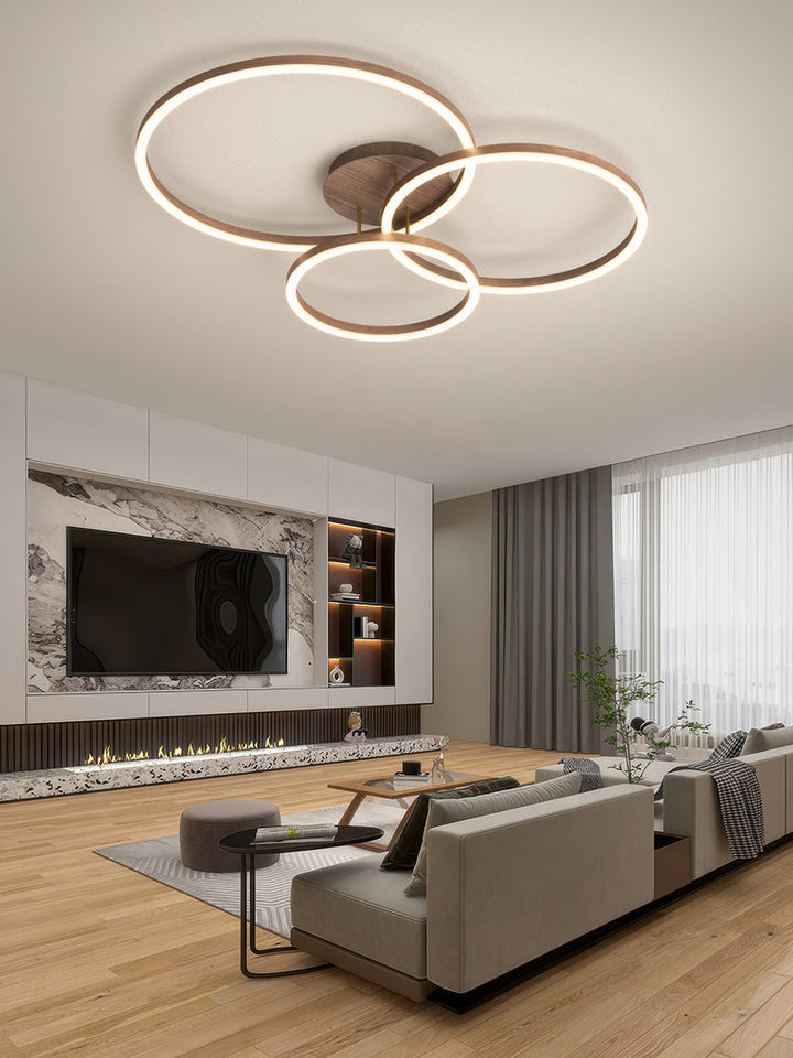 Elegant Ring-Style Ceiling Light 5