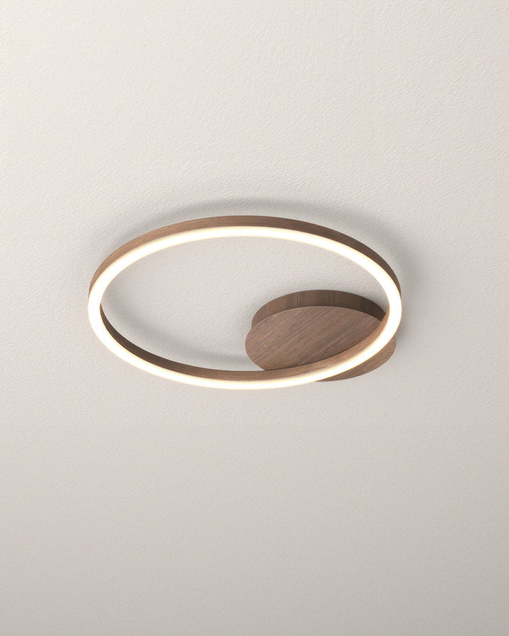 Elegant Ring-Style Ceiling Light 6