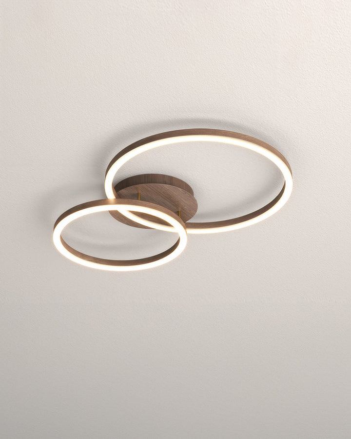 Elegant Ring-Style Ceiling Light 7