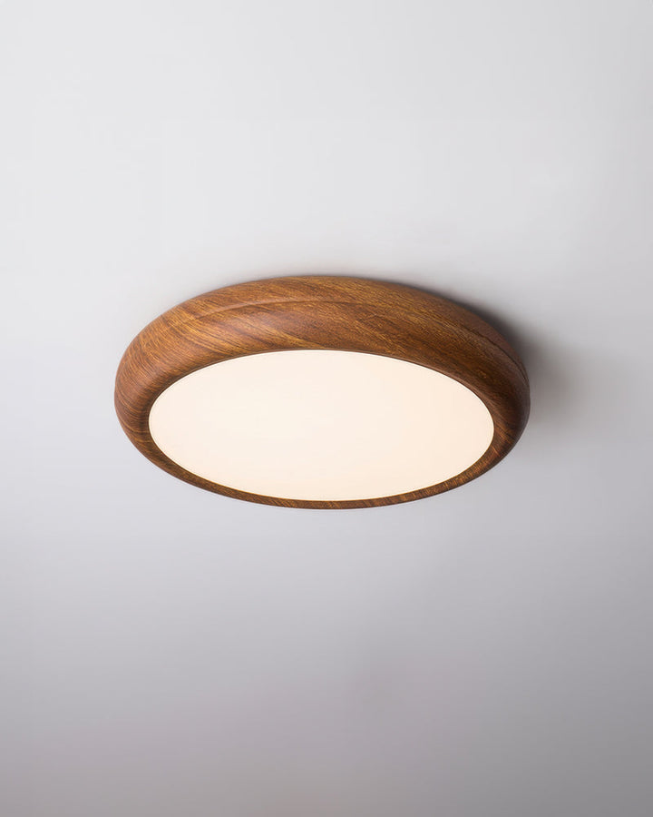 Modern Walnut Full-Spectrum Ceiling Light 1