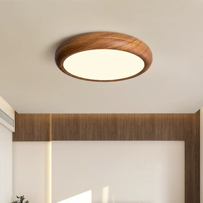 Modern Walnut Full-Spectrum Ceiling Light 3